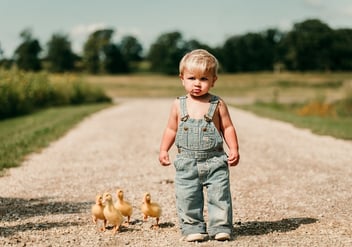 Farm babies