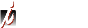 IntelitechGroup logo White
