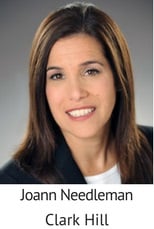 Joann Needleman, Clark Hill.jpg